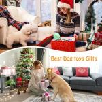 Squeaky Plush Dog Toys for All Sizes