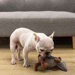 Hollypet Gray Armadillo Plush Squeaky Dog Toy