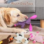 5-Pack Plush Dog Squeaky Toys Bundle