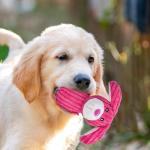 5-Pack Squeaky Plush Chew Toys for Dogs