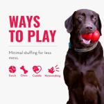 KONG Wild Knots Bear for Small/Medium Dogs