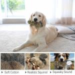 Interactive Plush Squeaky Dog Squirrel Toy