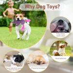 5-Pack Plush Dog Squeaky Toys Bundle