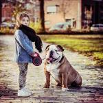 Retractable 26ft Dog Leash for Large Breeds