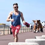 Retractable 26ft Dog Leash for Large Breeds