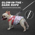 20 FT Retractable Dog Leash for Small Pets