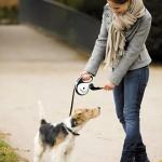 26Ft Tangle-Free Retractable Dog Leash with LED Light
