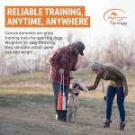 SportDOG Hunting Dog Training Canvas Dummy - Orange