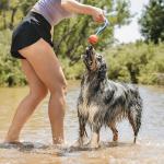 Chuckit! Ultra Duo Tug Toy for Dogs