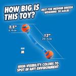 Chuckit! Ultra Duo Tug Toy for Dogs