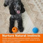 Interactive Fetch Rubber Balls for Dogs - Pack of 10