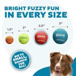 Outward Hound Squeaky Tennis Balls for Dogs