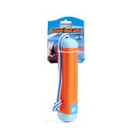 Chuckit! Floating Fetch Stick Toy for Dogs