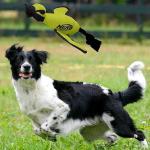 Nerf Dog Launching Duck Fetch Toy for Dogs
