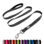 6 FT Reflective Nylon Dog Leash with Padded Handle