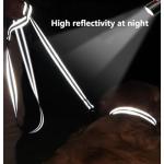 6 FT Reflective Nylon Dog Leash with Padded Handle