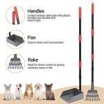 Heeyoo Dog Pooper Scooper, Dog Poop Tray and Rake Set, Pet Waste Removal Scoop with Long Adjustable Sectional Stainless Handles, 2 Pieces