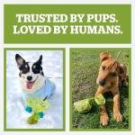 Pogi's Poop Bags – Large, Leak-Proof Dog Waste Bags for Yard or Home Use, Fresh Scent (Single Roll, 500-Count)