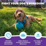 Nina Ottosson Treat Tumble Interactive Dog Puzzle Ball