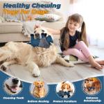 Squeaky Plush Dog Toys for Active Chewers