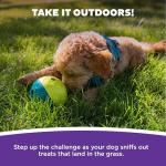 Nina Ottosson Treat Tumble Interactive Dog Puzzle Ball