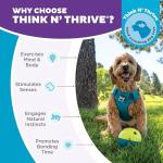 Nina Ottosson Treat Tumble Interactive Dog Puzzle Ball