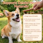 Bully Stick Dog Treats | 10-Pack Beef Chews