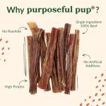 Bully Stick Dog Treats | 10-Pack Beef Chews