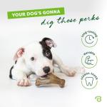 Benebone Wishbone Dog Chew Toy with Real Bacon