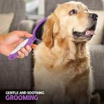 Soft Bristle Dog Brush for Short-Haired Pets