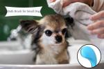 Small Dog Grooming Brush for Teddy, Yorkies, and More