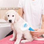 Depets Self-Cleaning Slicker Brush for Pets