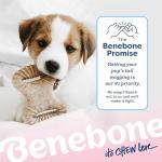Benebone 2-Pack Puppy Dental Chew Toys