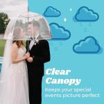 Clear Bubble Umbrella - Windproof & Stylish Designs