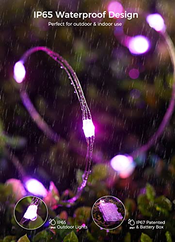 Color Changing Fairy Lights for Christmas Parties