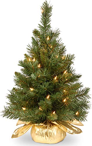 24" Majestic Fir Tree with Clear Lights for Christmas