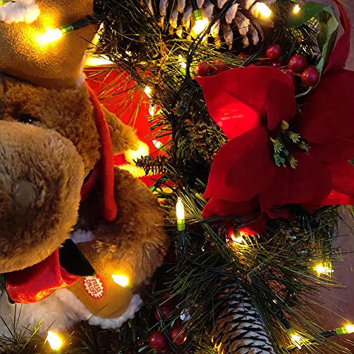 LOENDE Battery Operated Outdoor Christmas Lights