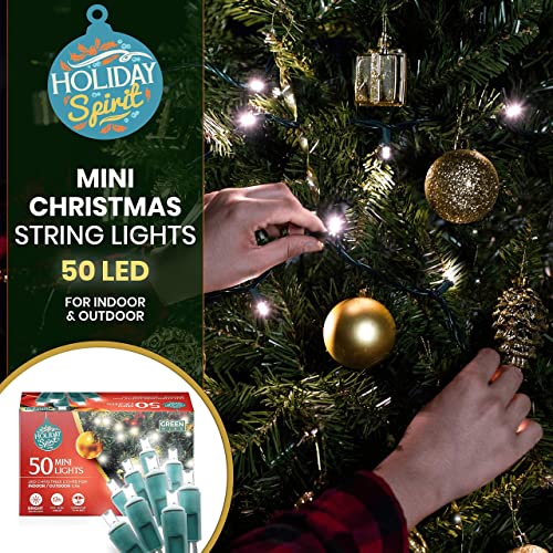 Bright White LED Christmas String Lights - 50 Bulbs