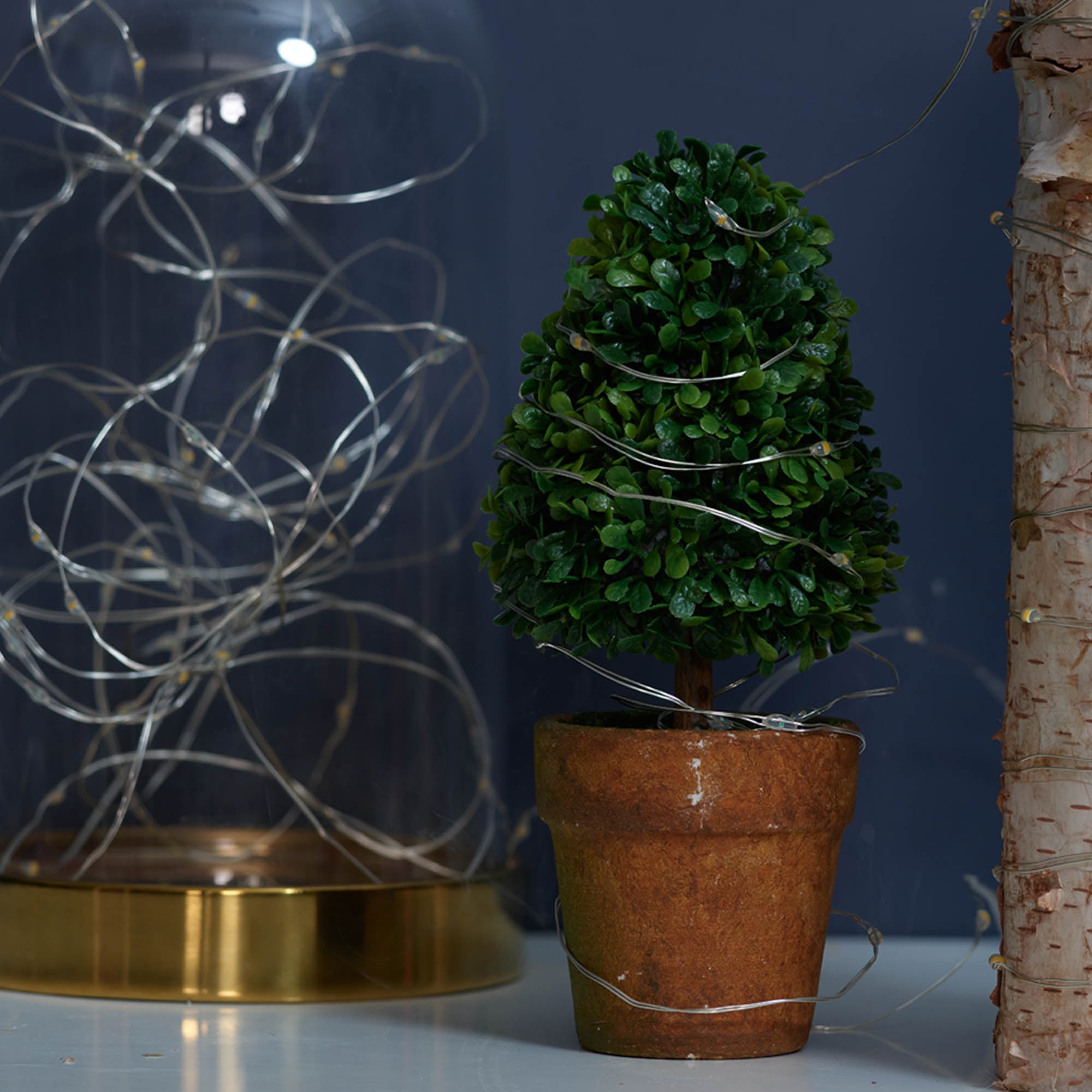 Indoor 50-Count LED Christmas Lights