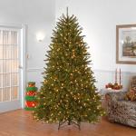 7.5 ft Pre-Lit Dunhill Fir Christmas Tree
