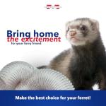 15-Foot Interactive Tunnel for Ferrets and Pets