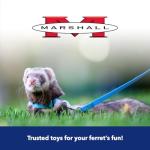 15-Foot Interactive Tunnel for Ferrets and Pets