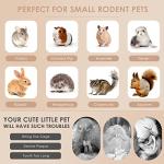 Sweet Bamboo Chew Sticks for Small Animals