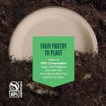 Eco-Friendly 9" Compostable Paper Plates (125-Pack)