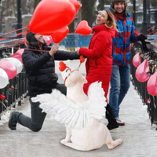 Adorable Valentine's Costume Set for Medium to Large Dogs