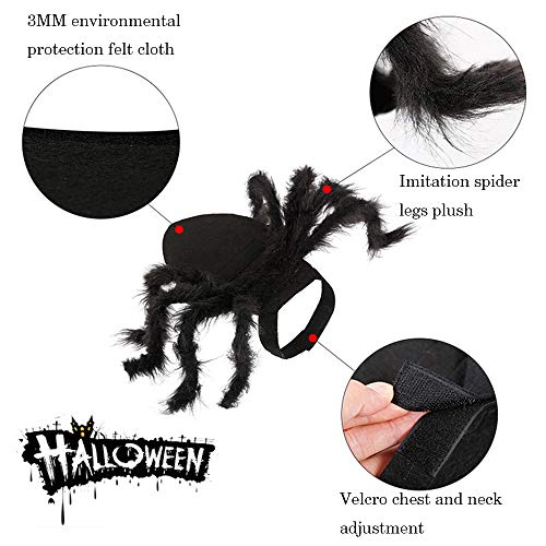 Furry Giant Spider Costume for Dogs and Cats