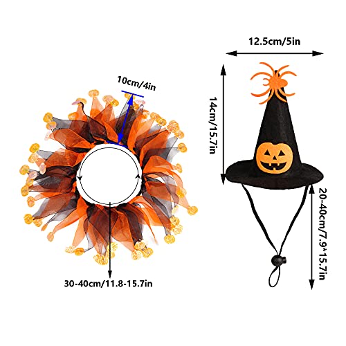 Witch Cat Costume with Tutu and Pumpkin Hat