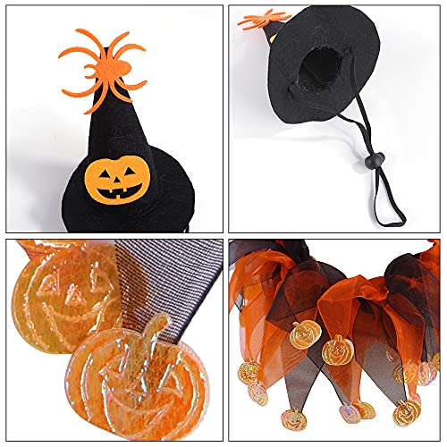 Witch Cat Costume with Tutu and Pumpkin Hat