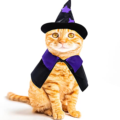 Witch Cape Costume for Small Dogs and Cats