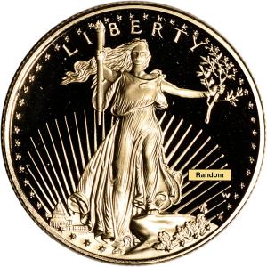 American Gold Eagle 1/2 oz Proof Coin